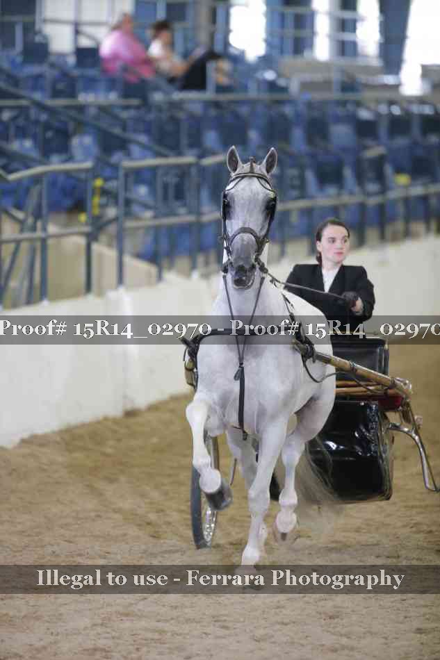 Proof Number 15R14_02970