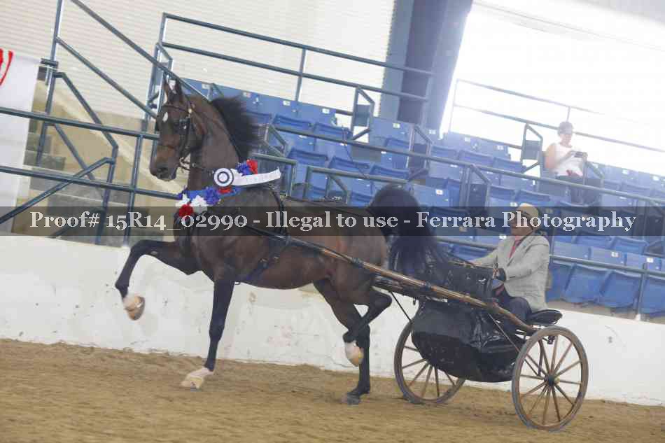 Proof Number 15R14_02990