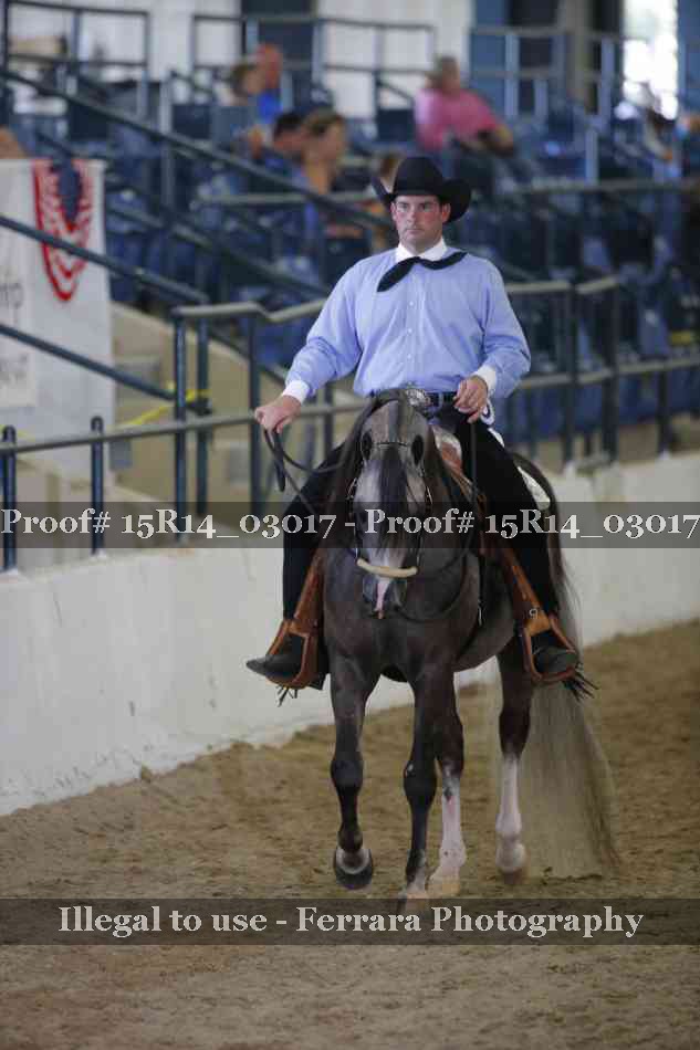 Proof Number 15R14_03017