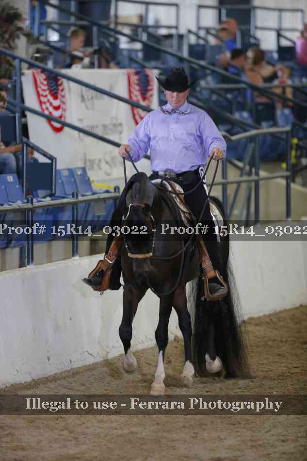 Proof Number 15R14_03022