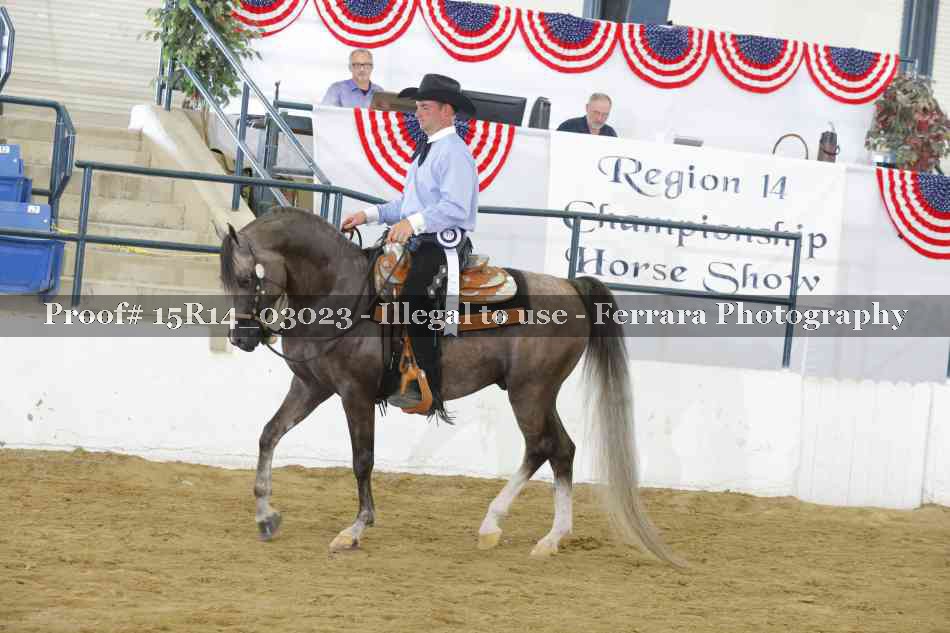 Proof Number 15R14_03023