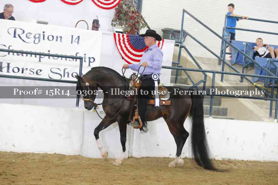 Proof Number 15R14_03027