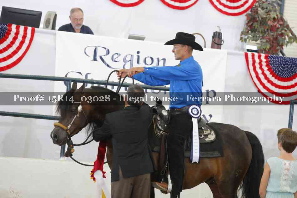 Proof Number 15R14_03028