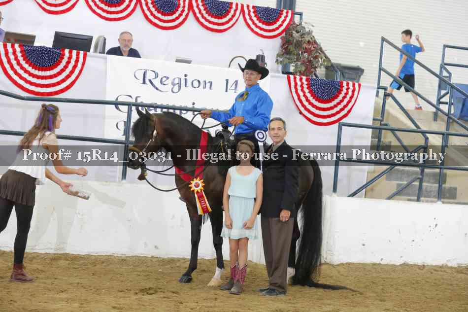Proof Number 15R14_03031