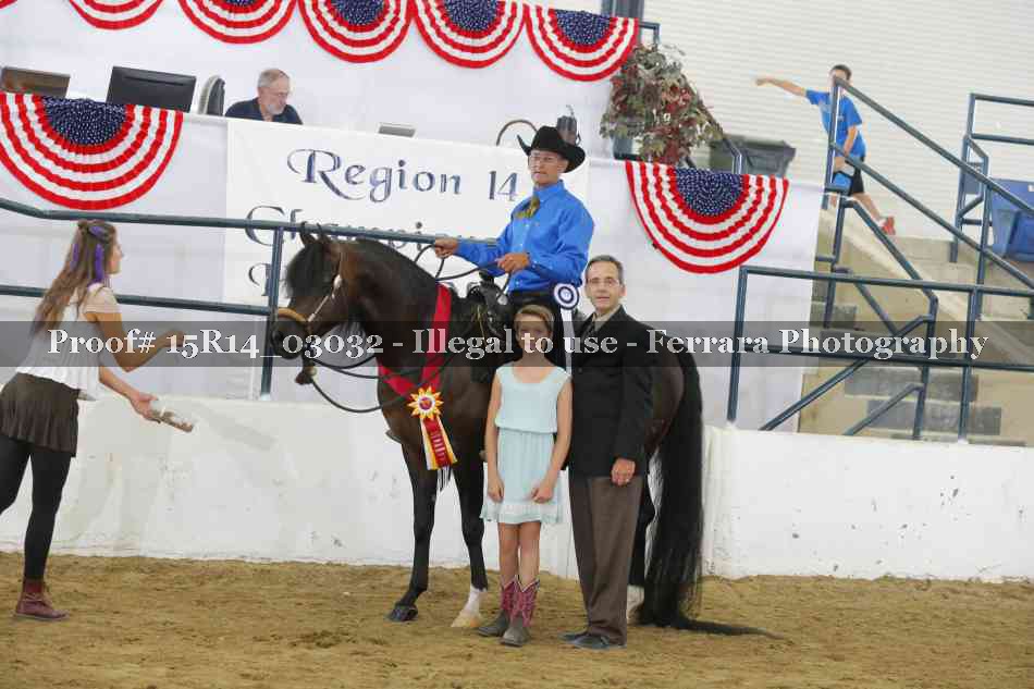 Proof Number 15R14_03032