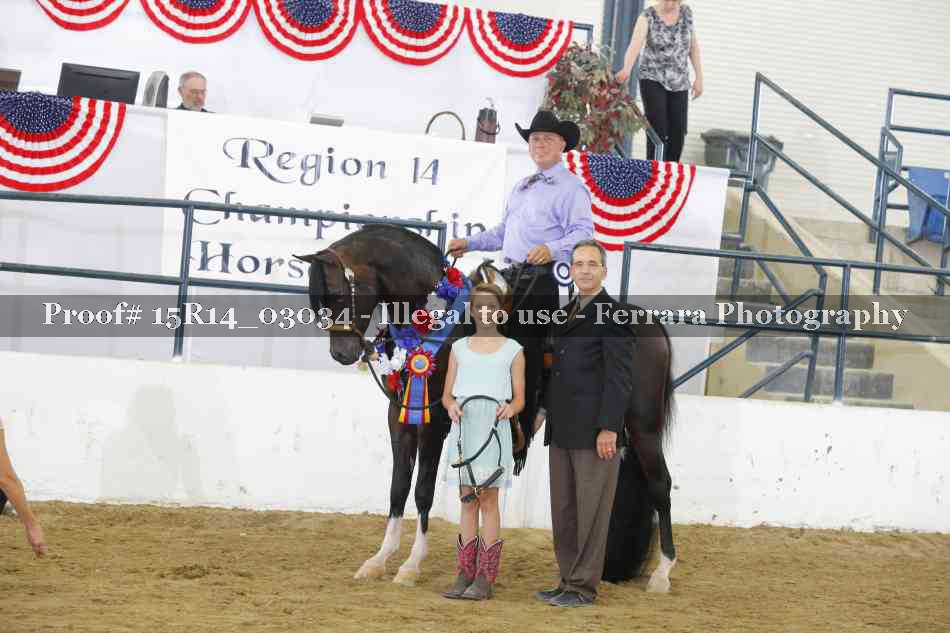 Proof Number 15R14_03034