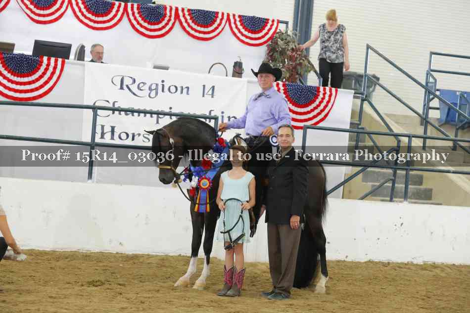 Proof Number 15R14_03036