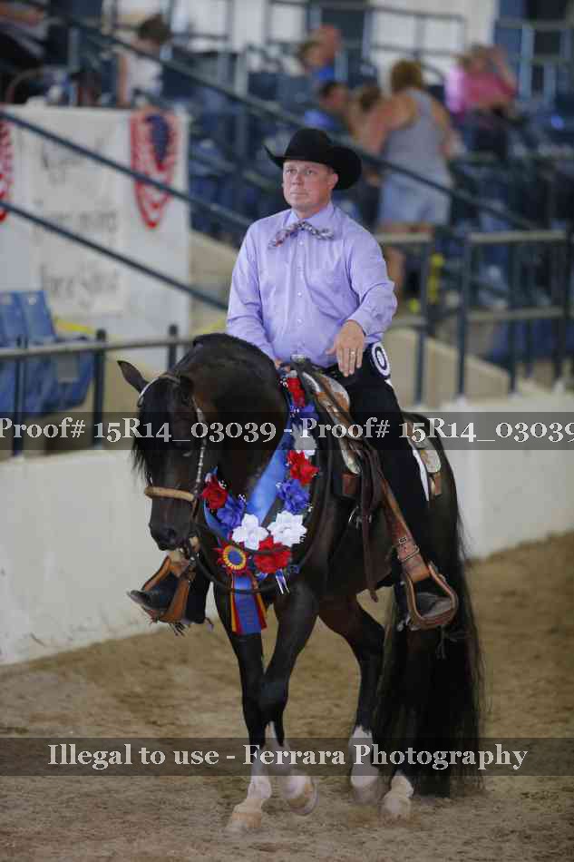 Proof Number 15R14_03039