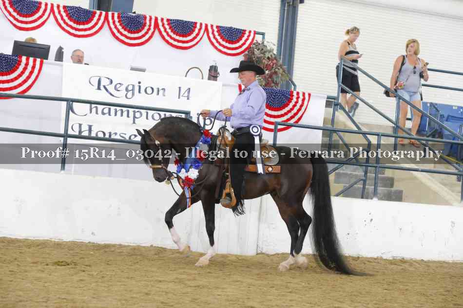 Proof Number 15R14_03042
