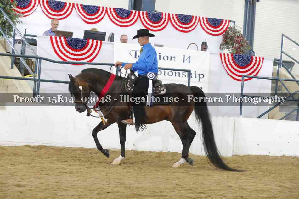 Proof Number 15R14_03048