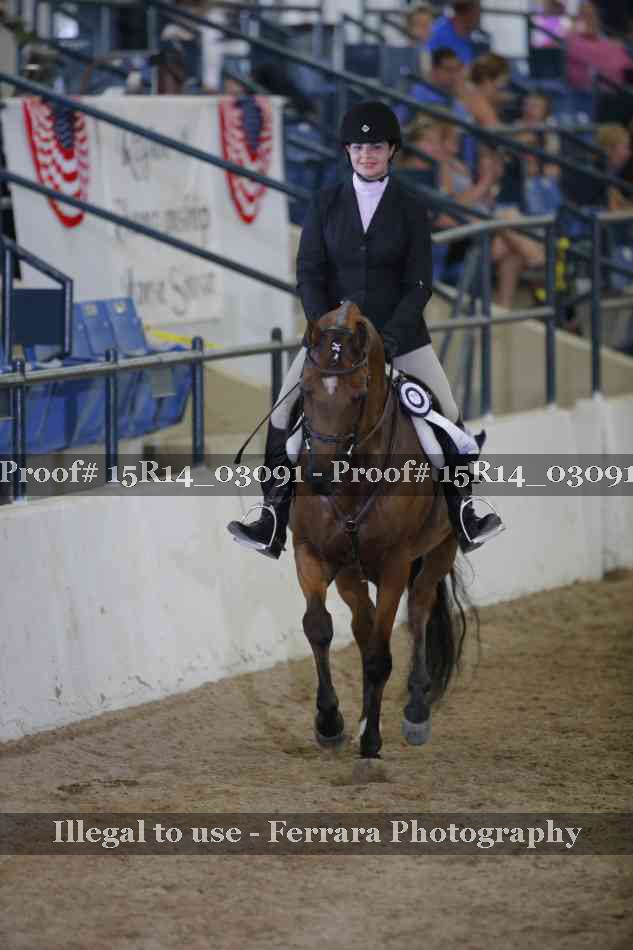 Proof Number 15R14_03091