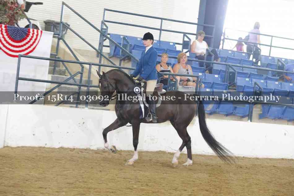 Proof Number 15R14_03092