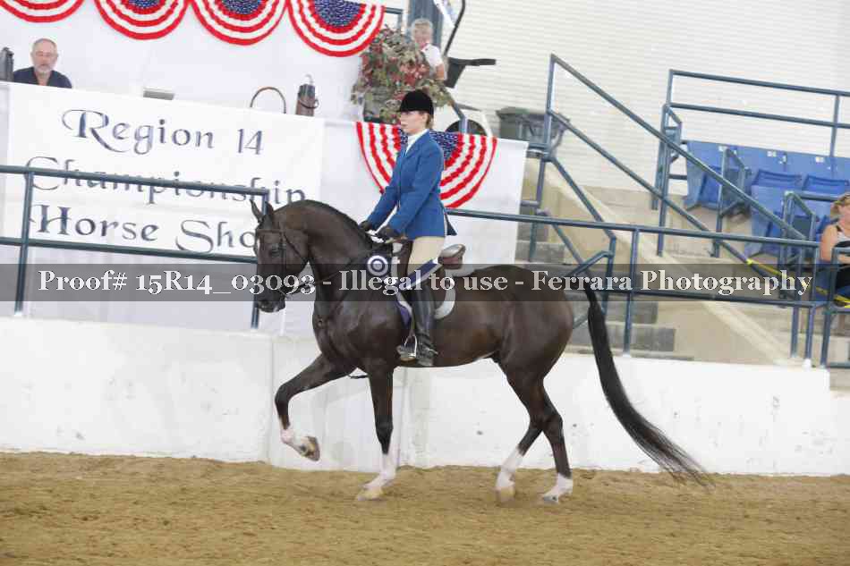 Proof Number 15R14_03093