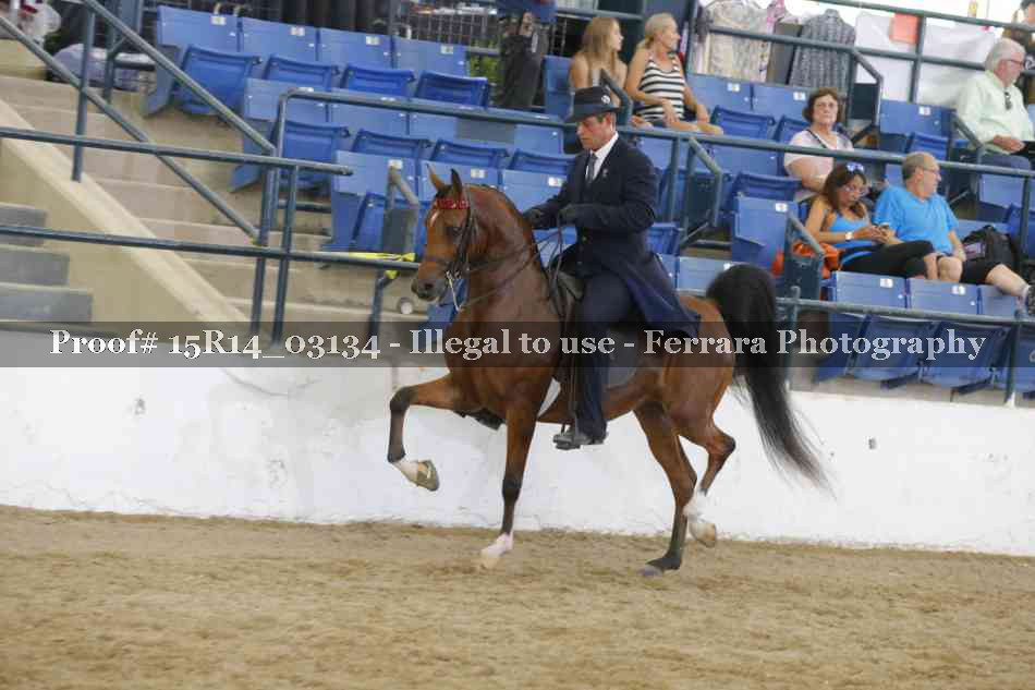 Proof Number 15R14_03134