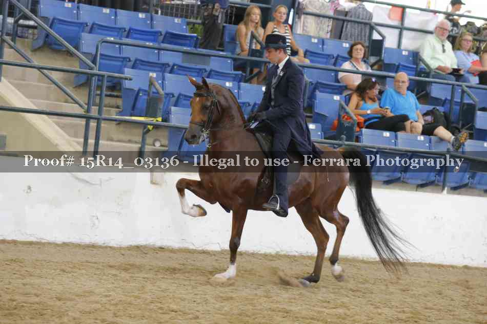 Proof Number 15R14_03136