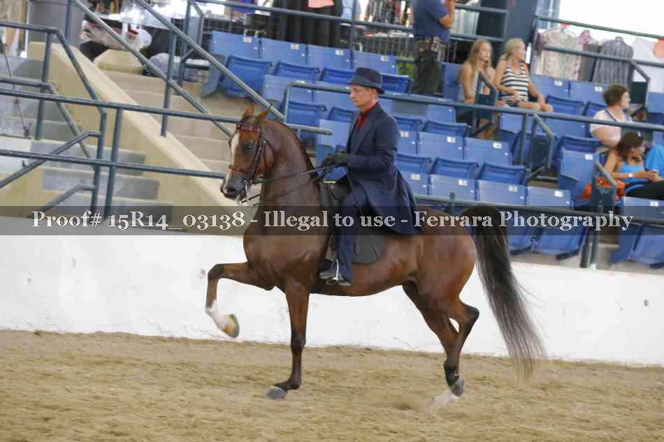 Proof Number 15R14_03138
