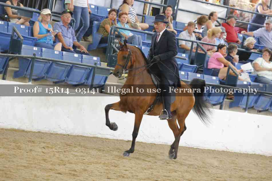 Proof Number 15R14_03141
