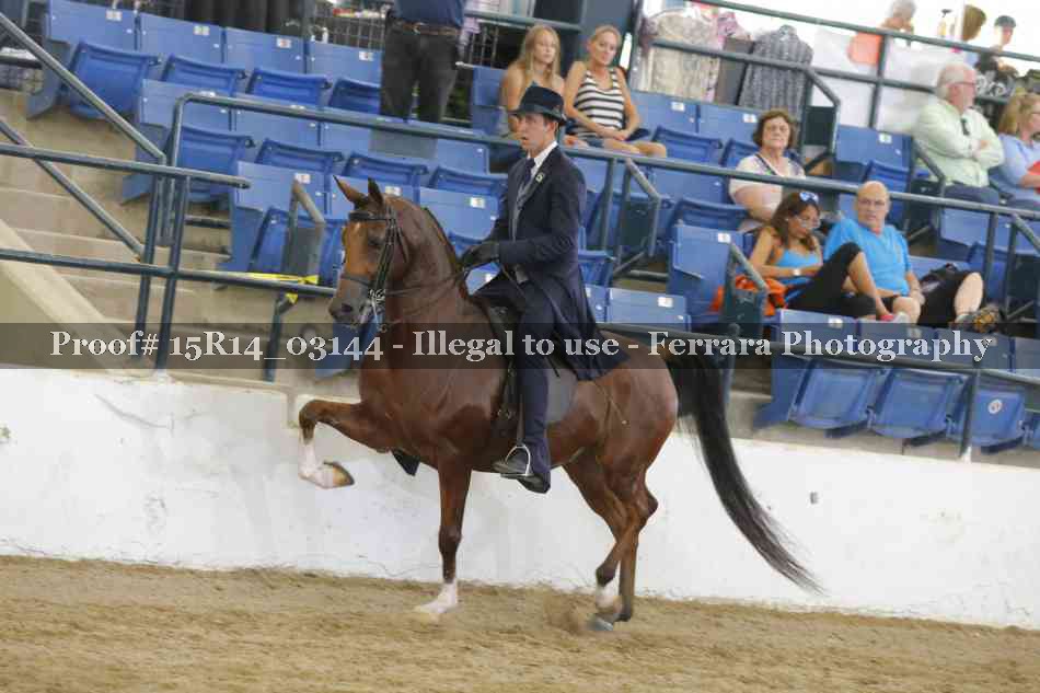 Proof Number 15R14_03144
