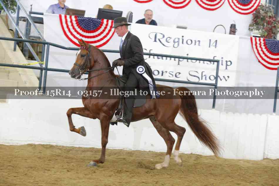 Proof Number 15R14_03157
