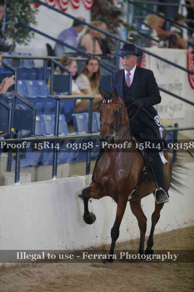 Proof Number 15R14_03158