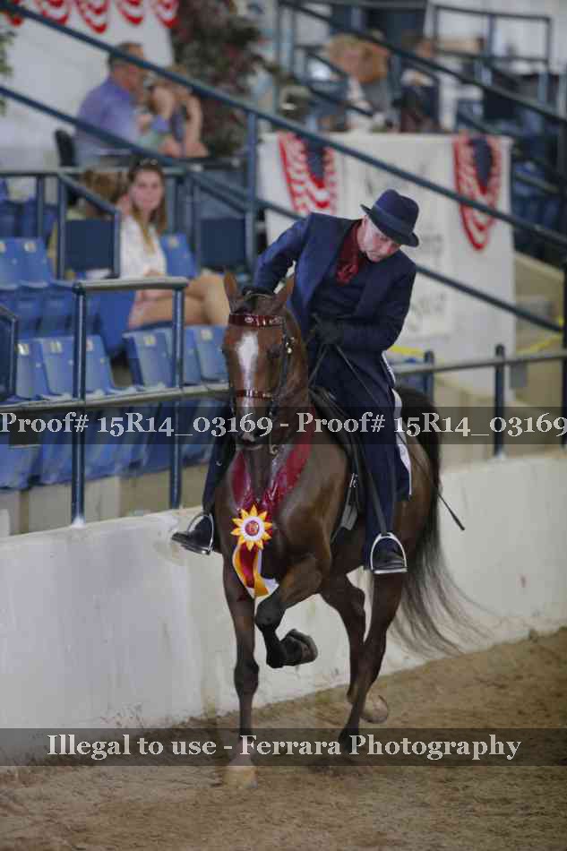 Proof Number 15R14_03169