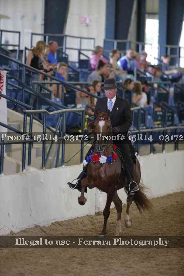 Proof Number 15R14_03172