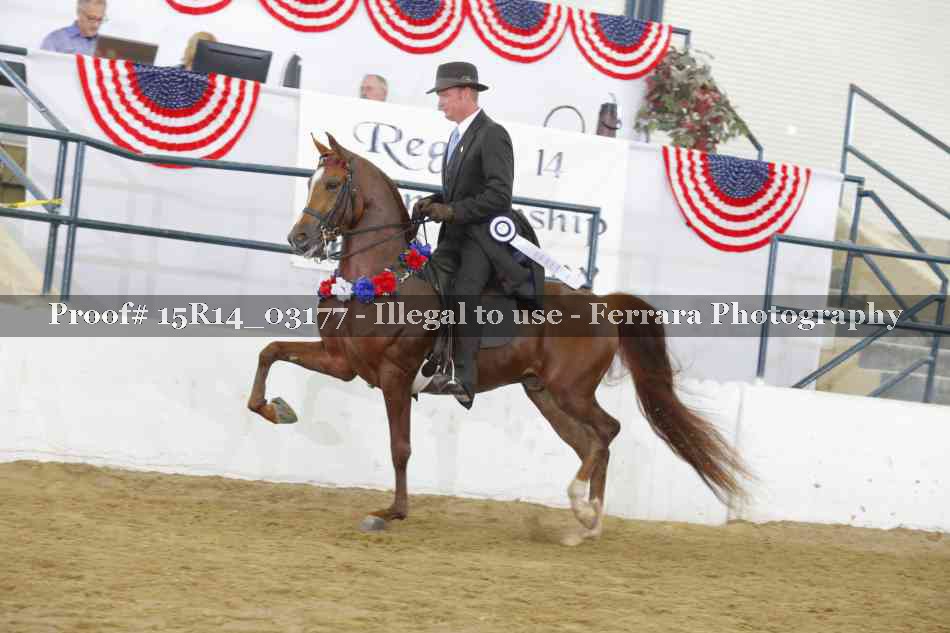 Proof Number 15R14_03177