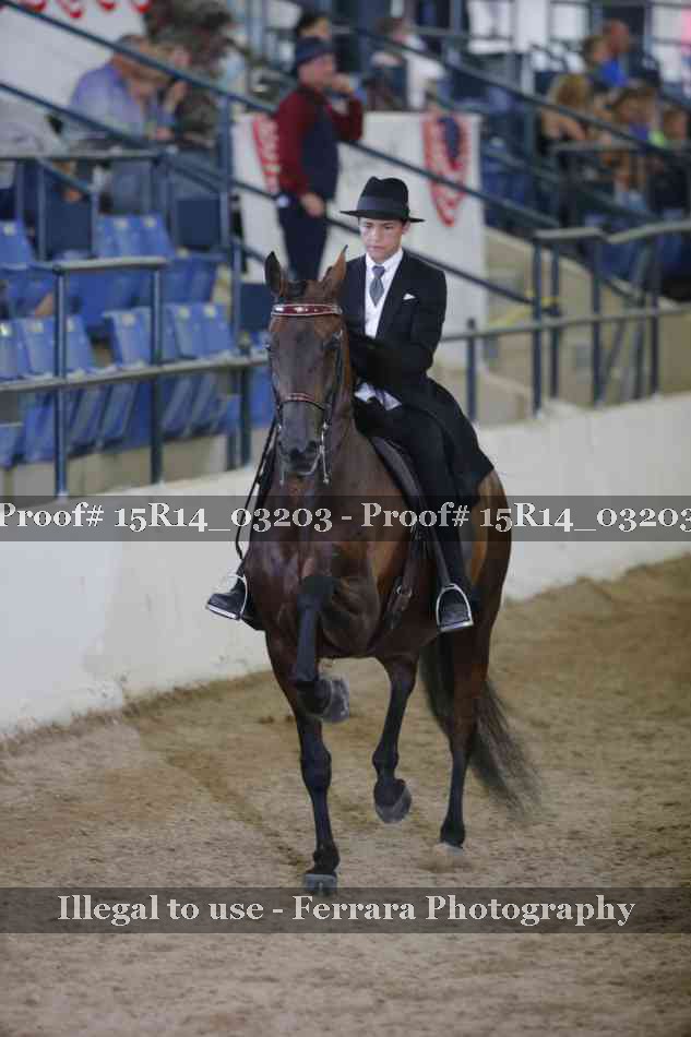 Proof Number 15R14_03203