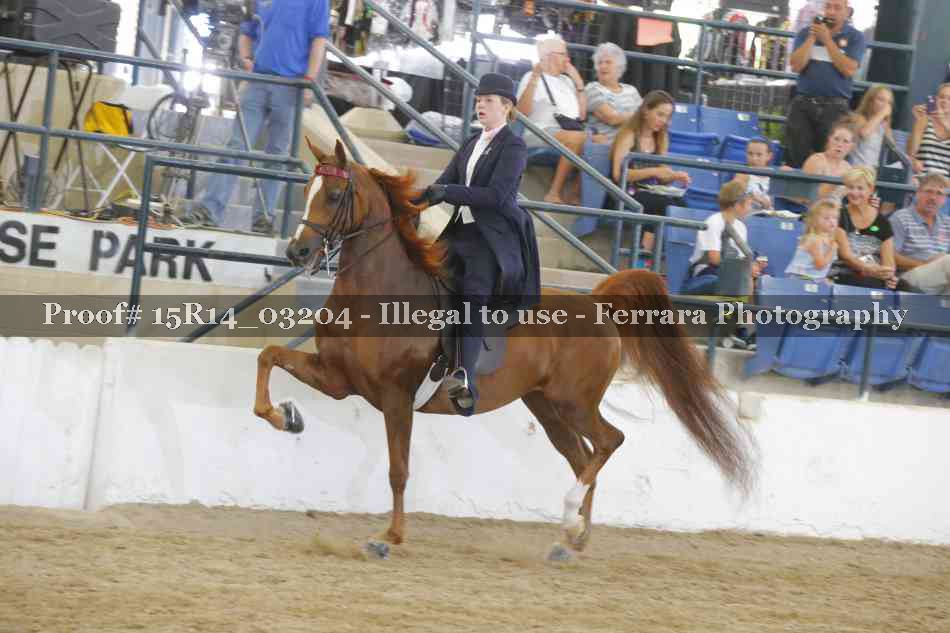 Proof Number 15R14_03204
