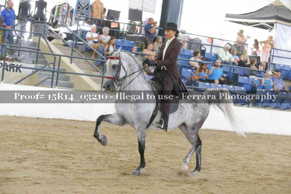 Proof Number 15R14_03210