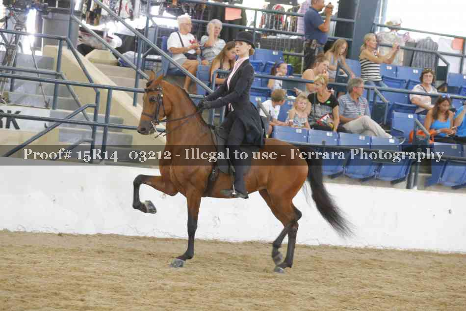Proof Number 15R14_03212