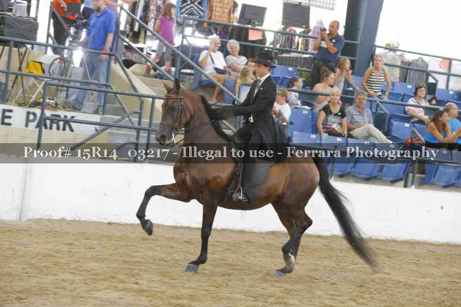 Proof Number 15R14_03217