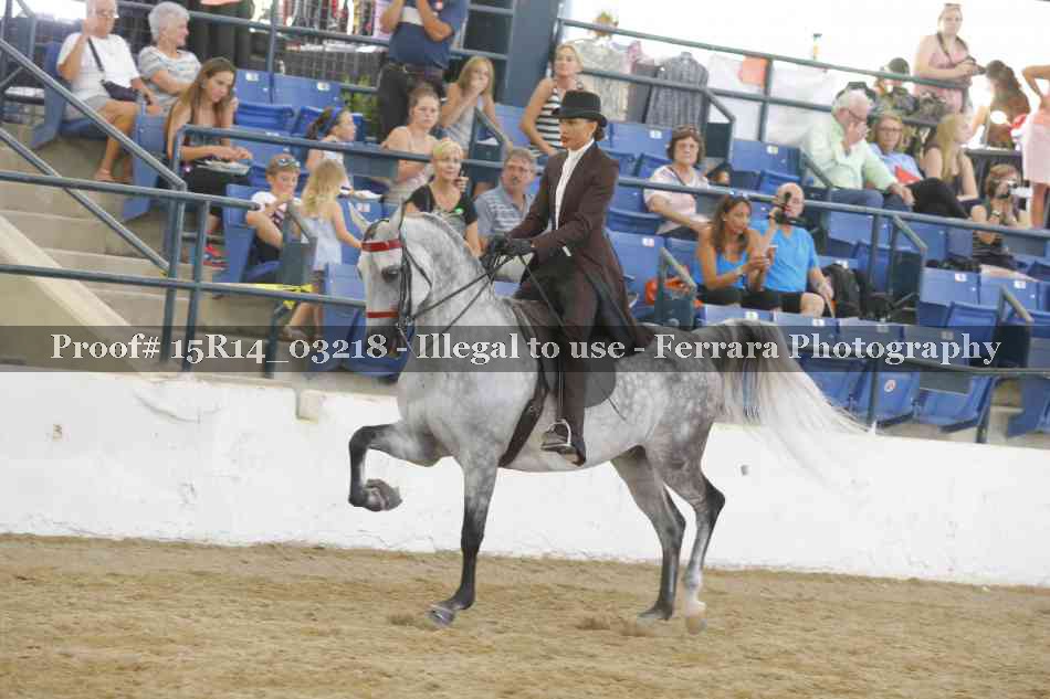 Proof Number 15R14_03218