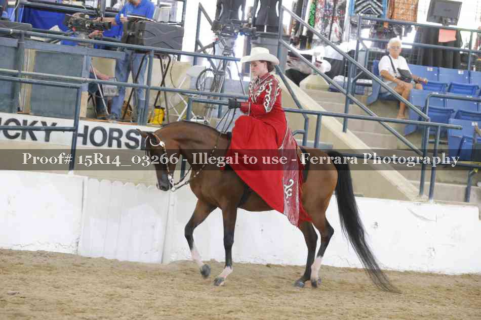 Proof Number 15R14_03266