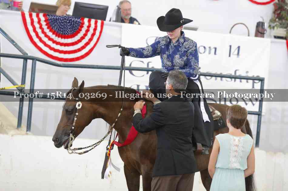 Proof Number 15R14_03269