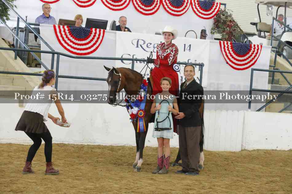 Proof Number 15R14_03275