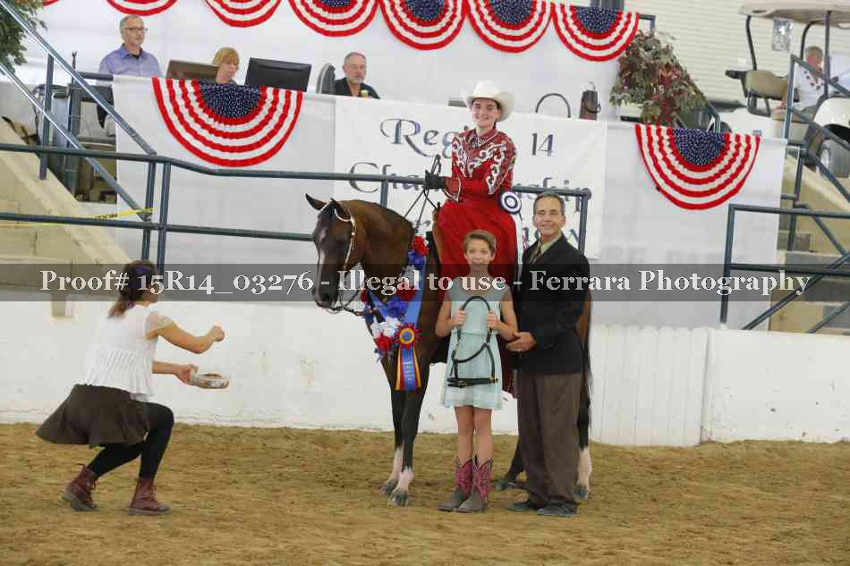 Proof Number 15R14_03276