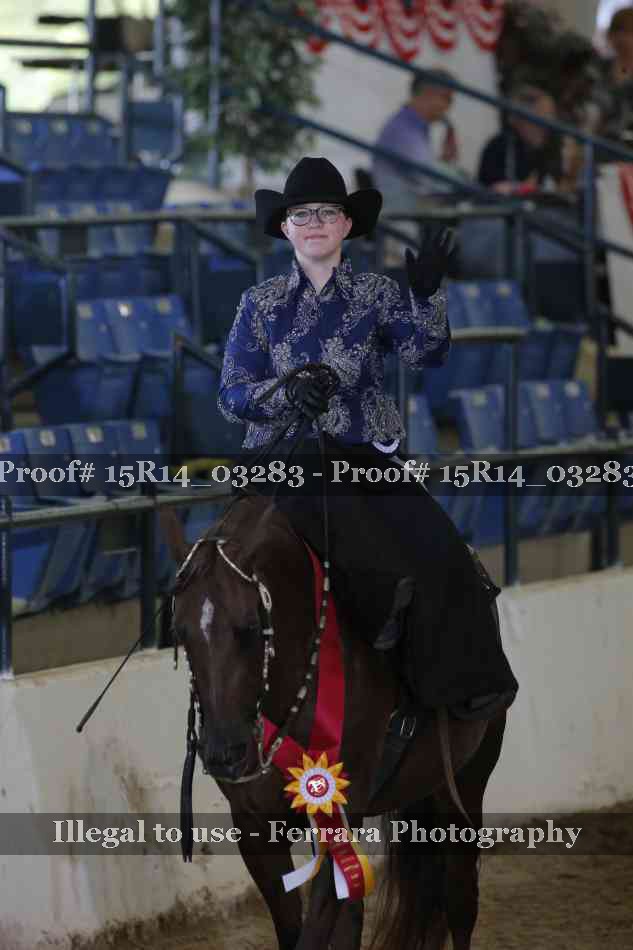 Proof Number 15R14_03283
