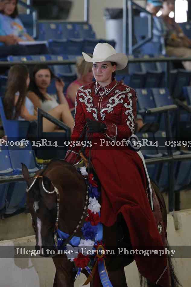 Proof Number 15R14_03293