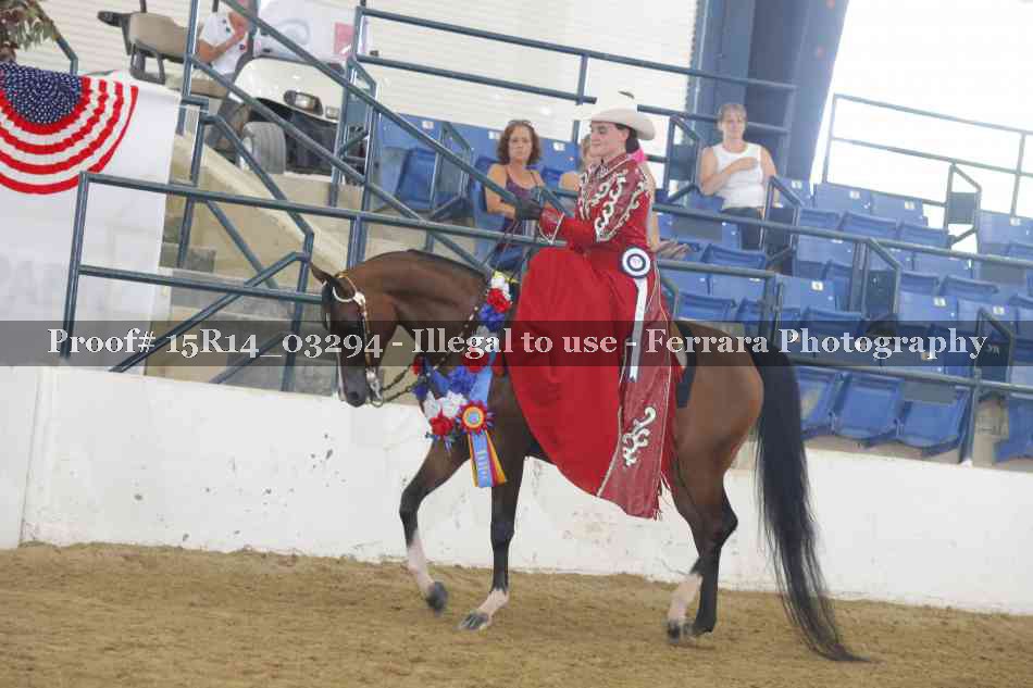 Proof Number 15R14_03294