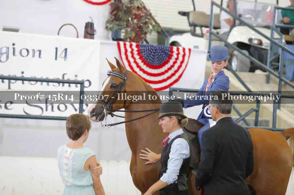 Proof Number 15R14_03307