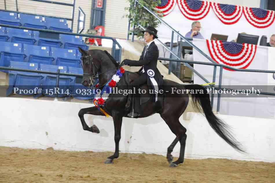 Proof Number 15R14_03319