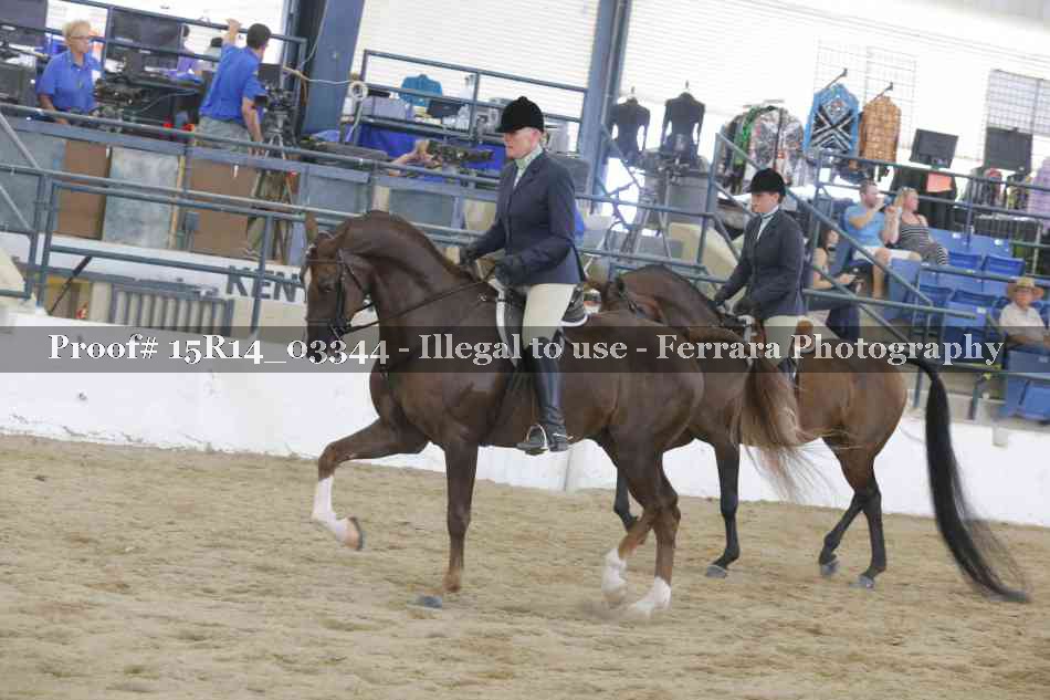 Proof Number 15R14_03344