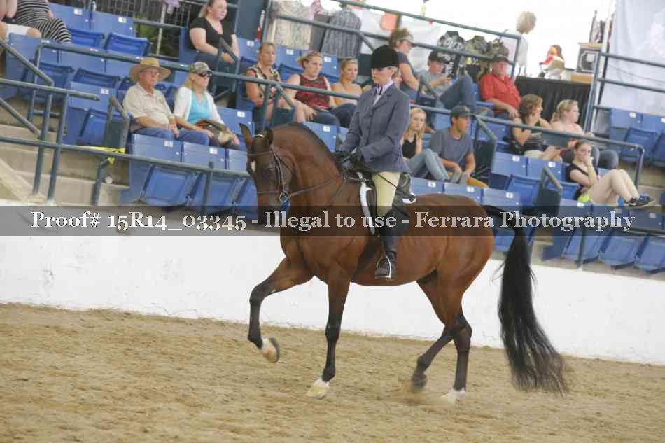 Proof Number 15R14_03345