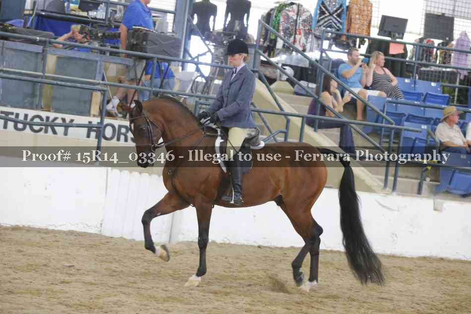 Proof Number 15R14_03346