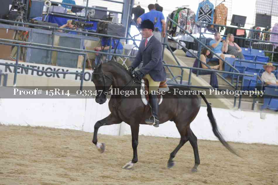 Proof Number 15R14_03347
