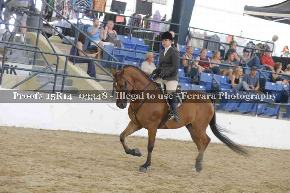Proof Number 15R14_03348