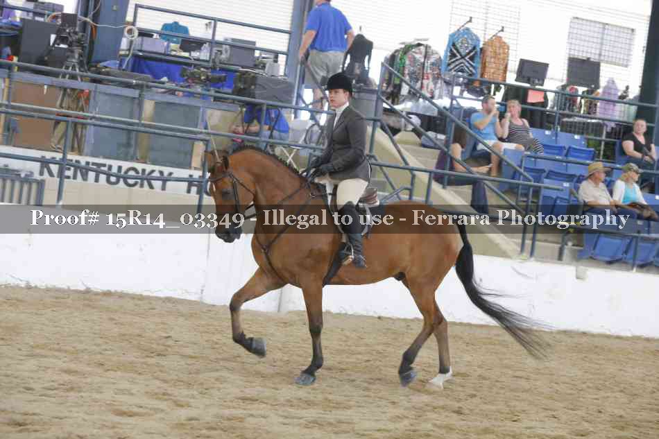 Proof Number 15R14_03349