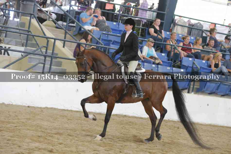 Proof Number 15R14_03352
