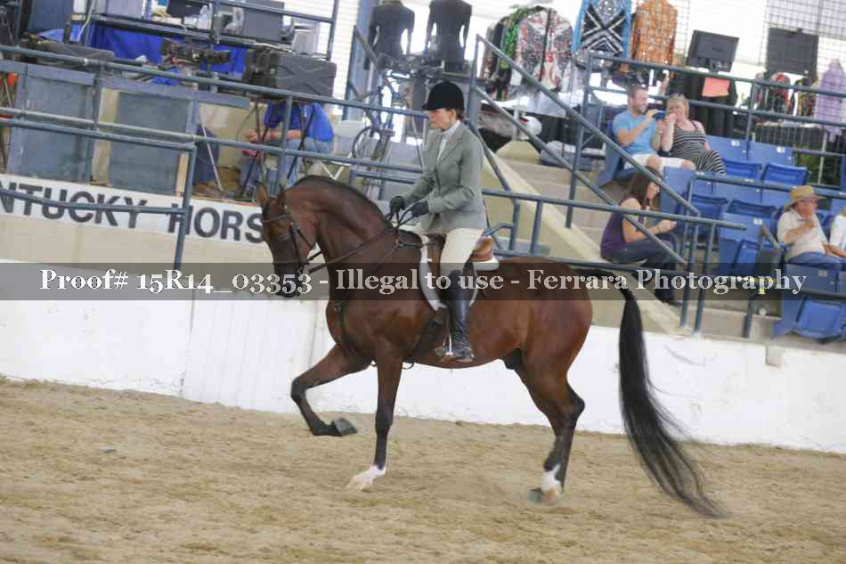 Proof Number 15R14_03353